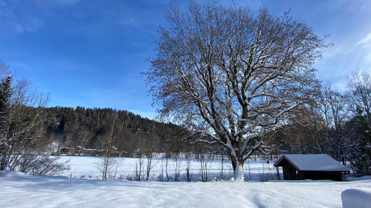 Pure Nature Munich - Alps Fischbachau Extérieur photo